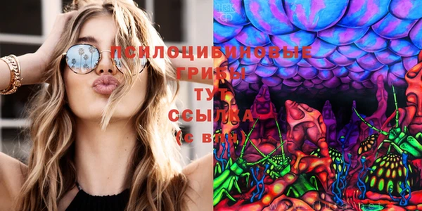 таблы Алексеевка