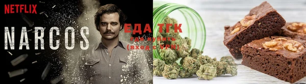 сатива Аркадак