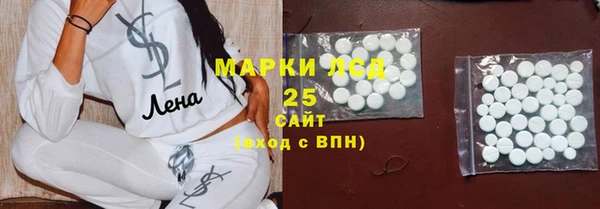 сатива Аркадак