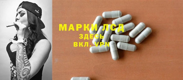 сатива Аркадак