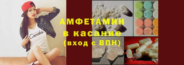 сатива Аркадак