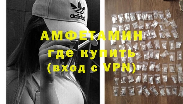 сатива Аркадак