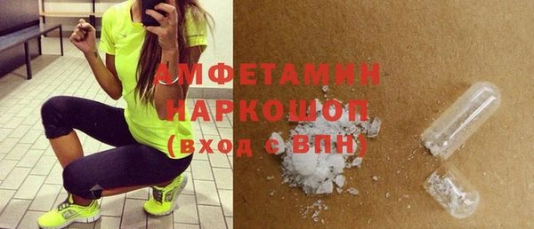 сатива Аркадак