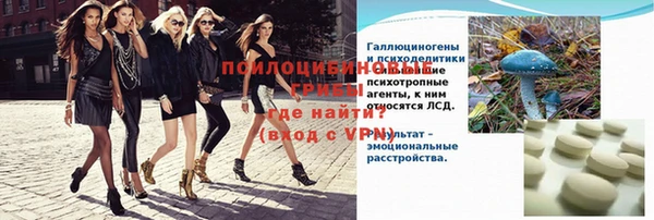 сатива Аркадак