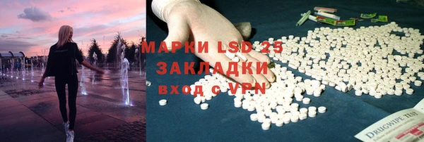 сатива Аркадак
