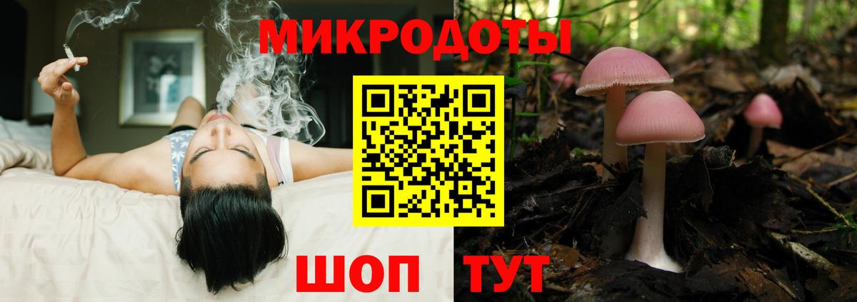 Галлюциногенные грибы GOLDEN TEACHER  Галлюциногенные грибы ЛСД  Тара  Вход с VPN 